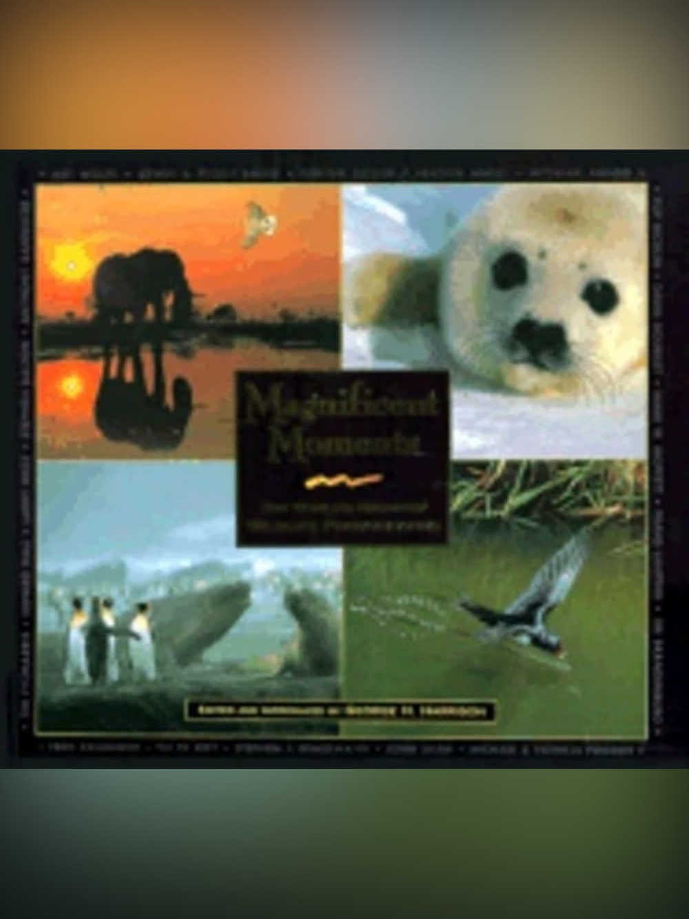 Magnificent Moments: The World's Greatest Wildlife Photographs Harrison Book